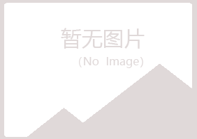 城北区沙砾邮政有限公司